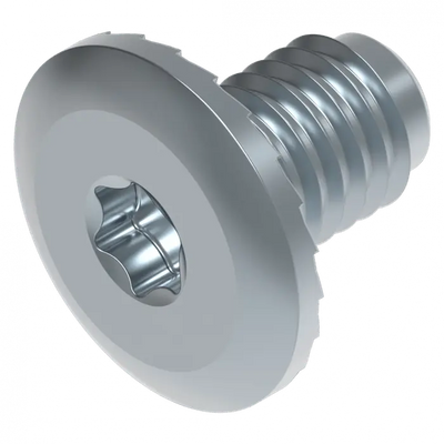Flachkopf Schraube  M8 TORX 30 Schweighöfer poorten
