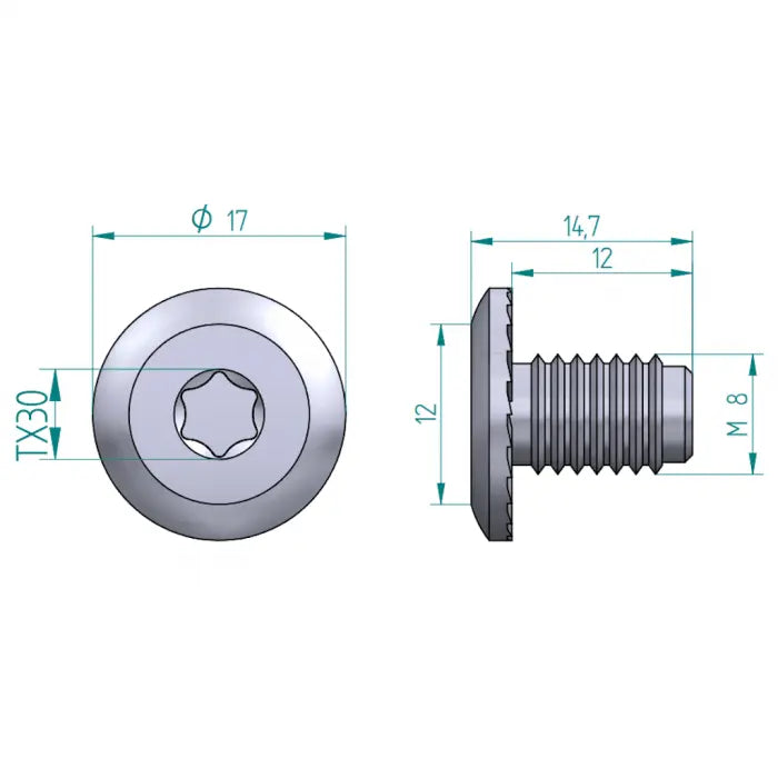 Flachkopf Schraube  M8 TORX 30 Schweighöfer Tore