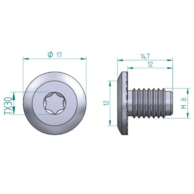 Flachkopf Schraube  M8 TORX 30 Schweighöfer poorten