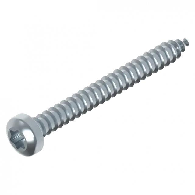 Schraube 3.9 x 38 mm Torx Edelstahl Schweighöfer Tore